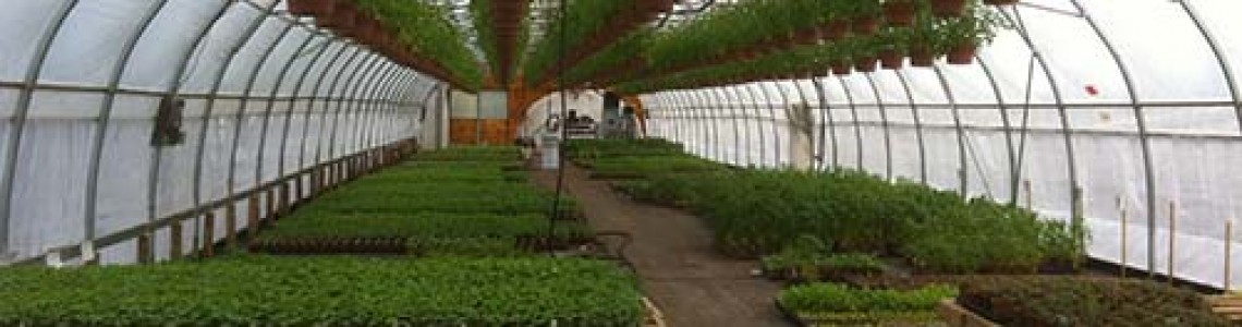Mon Potager Bio