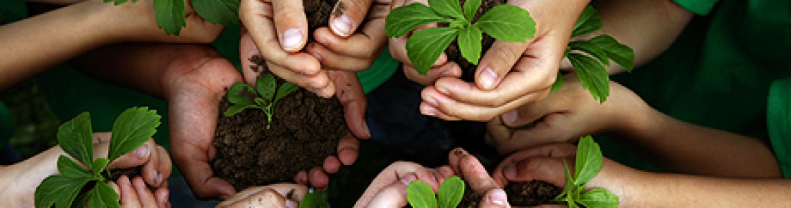 Réseau Environnement