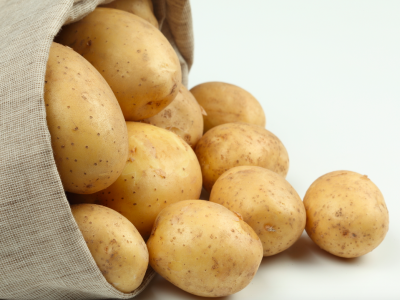 Food Waste