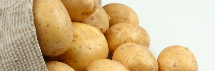 Food Waste