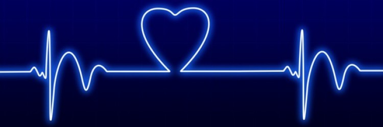 Assess Your Risk of Cardiovascular Disease