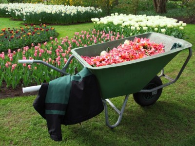 Gardening Therapy