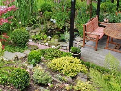 Beautify Your Outdoor Space – Day One
