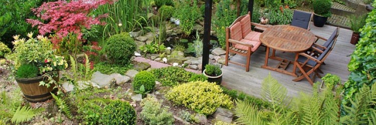 Beautify Your Outdoor Space – Day One