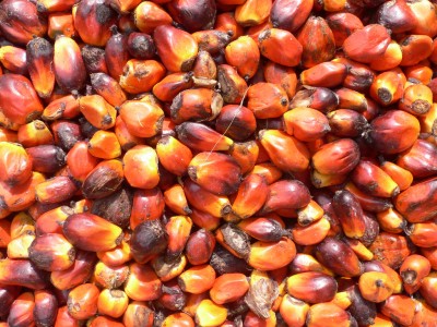 Palm Oil and Health