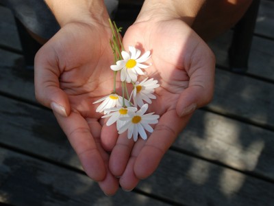 Faites un don à un organisme qui vous tient à coeur