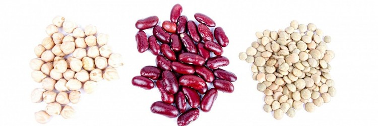 Légumineuses et protéines