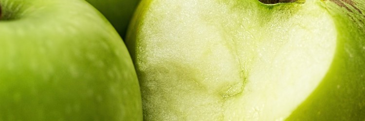 OGM et faim dans le monde