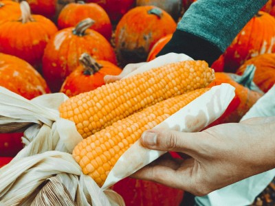 Aliments bio et santé