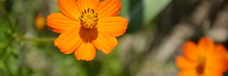 Adoptez l’une des 7 astuces pour être bien dans sa tête