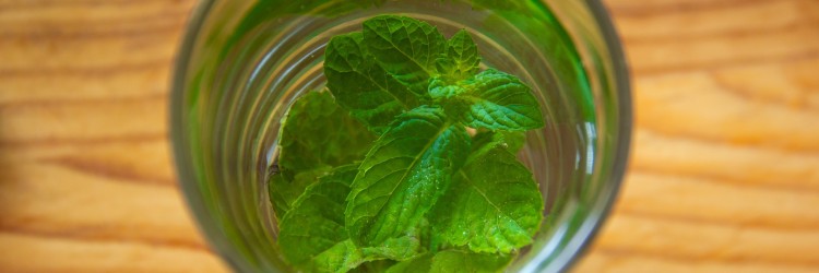 Remplacer les jus par des eaux infusées