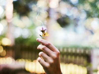 Lequel des systèmes de votre corps a besoin d’une révision?
