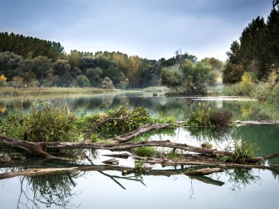 Prendre conscience de l'importance des cours d'eau