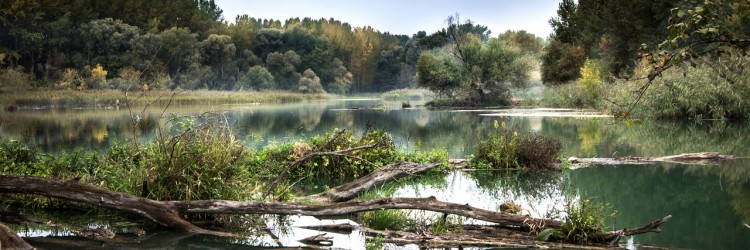 Prendre conscience de l’importance des cours d’eau