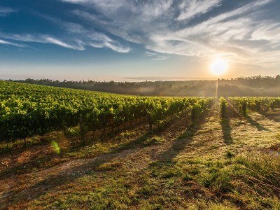 Les thématiques à la Maison du développement durable