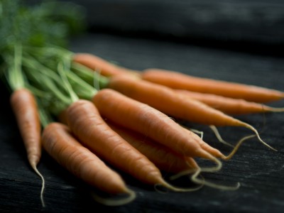 Comprendre le gaspillage alimentaire