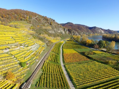 Gaspillage alimentaire et eau
