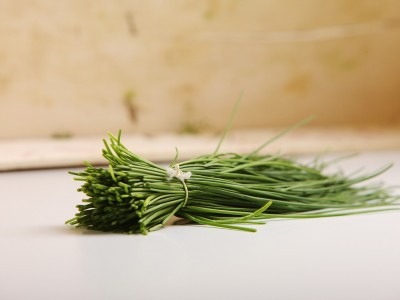Cultiver ses fines herbes