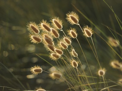 Lumière et sommeil