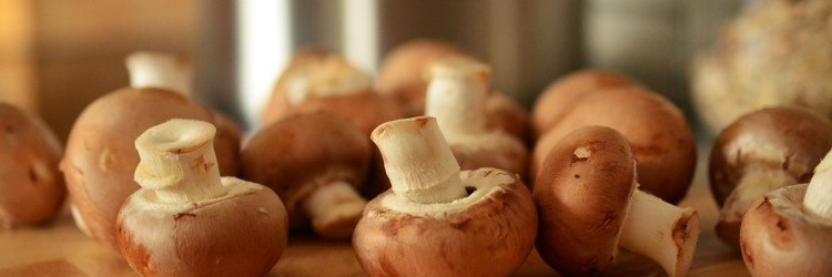 Inclure des champignons à ses repas