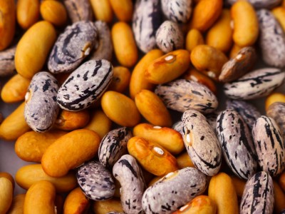 Utiliser des haricots congelés