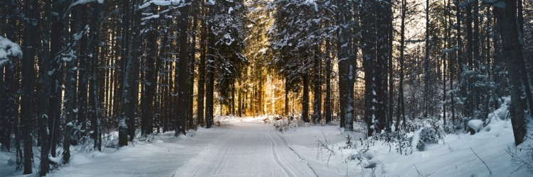 Prendre une marche dans la neige
