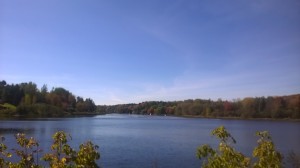 l’automne !!