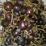 Raisins